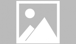 放生视频,人与自然和谐共生的美好瞬间