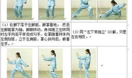 太极拳24式视频完整版,一招一式，尽展太极魅力